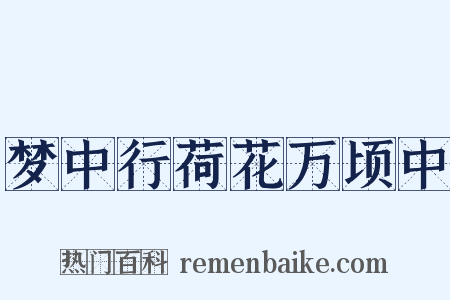 梦中行荷花万顷中是什么意思的图片